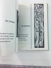 Practically Complete Guide To Almost Real Musical Instruments – Rudoff (1968, HC