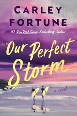 Our Perfect Storm Hardcover by Fortune, Carley