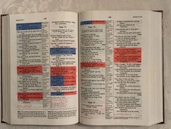 NIV Prophecy Marked Reference Study Bible 1998 Hardcover