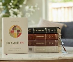 Life in Christ Bible: Discovering, Believing, and Rejoicing in Who God Says…