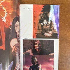 Drag-on Dragoon Art BookThe Materials Illustration