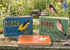 Vintage 1940s Birds of America Blue Green Red Book Set MCM Illustrated HB Set 3