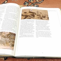 Treasures from Bible Times by Alan Millard 1985 Hardcover Dust Jacket Free Ship