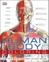 The Human Body Coloring Book – Paperback By DK Publishing – VERY GOOD