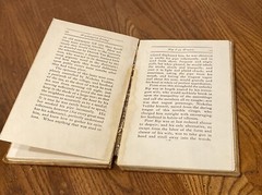 Antique RIP-VAN WINKLE BY WASHINGTON IRVIN HARD COVER BORSE & HOPKINS 47 Pages