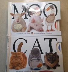 Lot Of 2 Simon and Schuster Cat & Moo Novelty Book by Brian Stanton