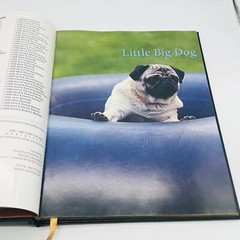For The Love Of Pugs Book 1998 VTG Special Edition Robert Hutchinson EXC💥