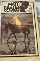 Lot Of 10 Vintage Western Paperback Books (See Photos For Titles)