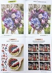 Bundle Of 4 Spot the Difference Puzzle Books Intermediate/ Challenging 2024 NEW!