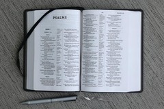 NIV, Compact Center-Column Reference Bible, Leathersoft, Black, Red Letter,