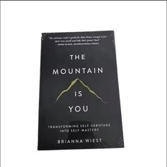 The Mountain Is You by Brianna Wiest