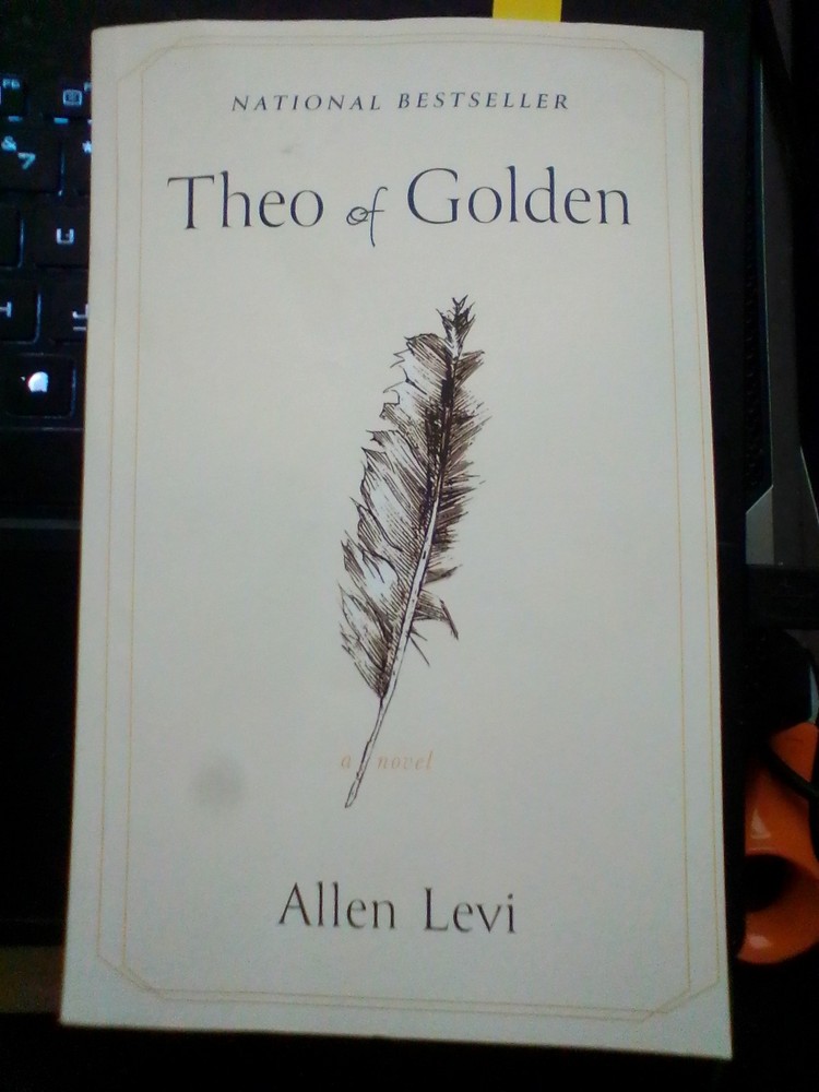 Theo of Golden : A Novel by Allen Levi (2025, Trade Paperback) VERY GOOD