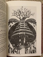 THE RUBAIYAT OF OMAR KHAYYAM EXPLAINED BY PARAMHANSA YOGANANDA 1994 HCDJ ILLUS.