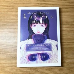 Mayumi Konno Works Layers Art Book Japan Softcover 9.4in
